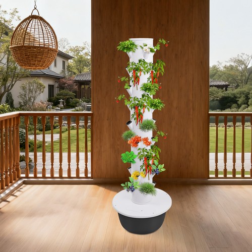 Plant hydroponic indoor - hydroponic,