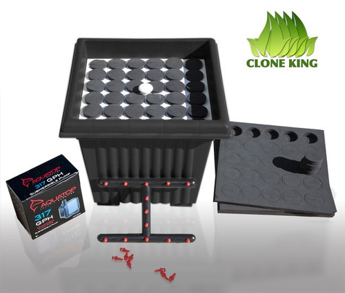 The clone king site - the,