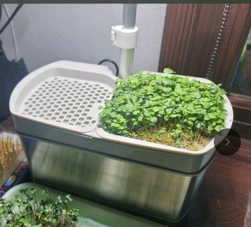 Aerogarden microgreen kit - microgreen, kit-